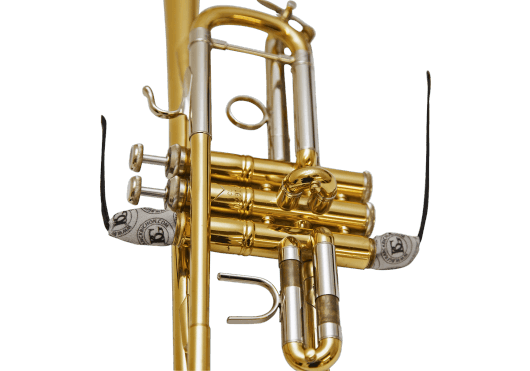 Vents - ACCESSOIRES - ENTRETIEN - BG - ABG A31T2 - Royez Musik