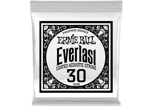 Cordes - CORDES GUITARES ACOUSTIQUES - A L'UNITE - ERNIE BALL - CEB 10230 - Royez Musik