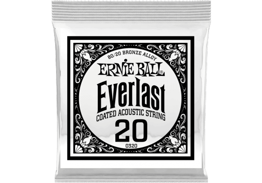 Cordes - CORDES GUITARES ACOUSTIQUES - A L'UNITE - ERNIE BALL - CEB 10320 - Royez Musik