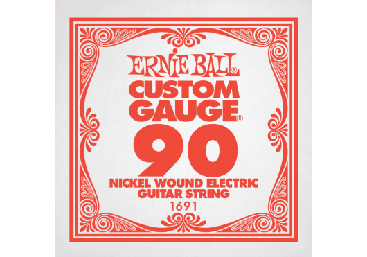 Cordes - CORDES GUITARES ELECTRIQUES - A L'UNITE - ERNIE BALL - CEB 1691 - Royez Musik