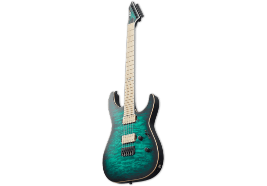 Guitares & Co - GUITARES ELECTRIQUES - GUITARES SOLID BODY - ESP - GEV 2MIINTHS-DBTSB - Royez Musik