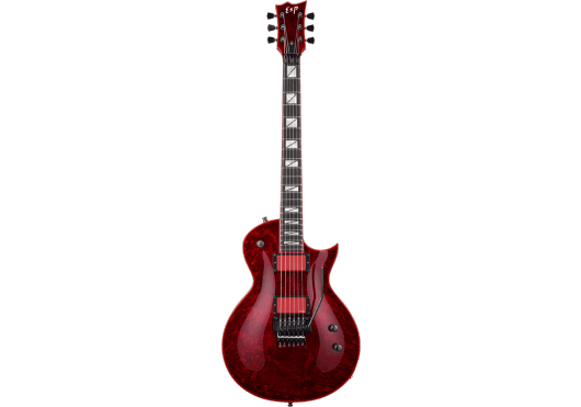 Guitares & Co - GUITARES ELECTRIQUES - GUITARES SOLID BODY - ESP - GEV GARYHECFRLQML - Royez Musik