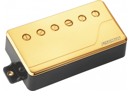 Guitares & co - MICROS - MICROS GUITARES - Fishman - EFI PRF-CHB-NG1 - Royez Musik