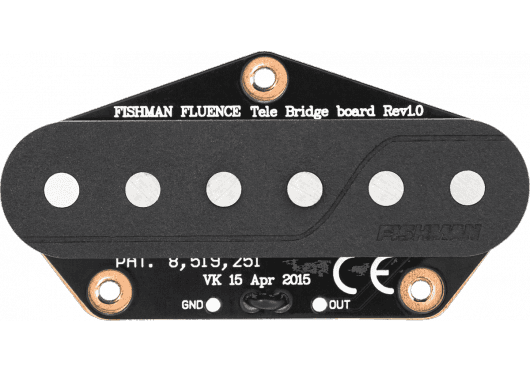 Guitares & co - MICROS - MICROS GUITARES - Fishman - EFI PRF-TEL-GK1 - Royez Musik