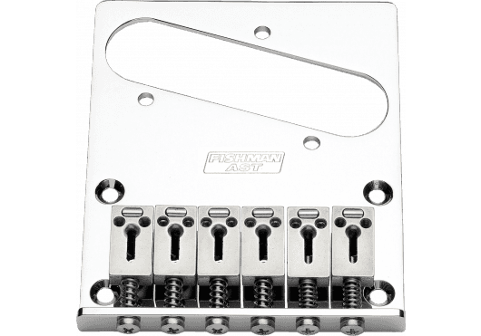Guitares & co - MICROS - ACCESSOIRES MICROS - CHEVALETS AMPLIFIÉS - Fishman - EFI PRO-AST-101 - Royez Musik