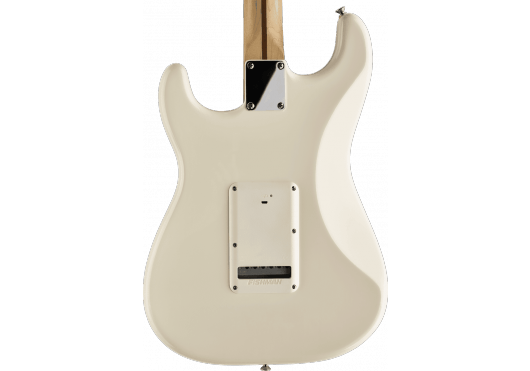 Guitares & co - MICROS - MICROS GUITARES - Fishman - EFI PRO-BPK-FXW - Royez Musik