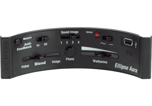 Guitares & co - MICROS - MICROS GUITARES - Fishman - EFI PRO-MAN-ELA - Royez Musik