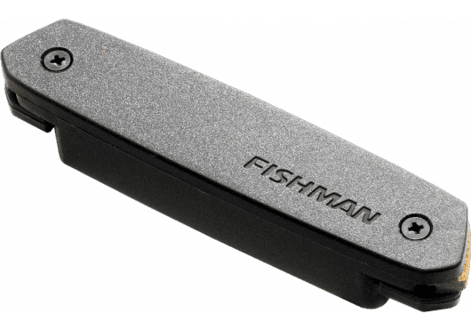 Guitares & co - MICROS - MICROS GUITARES - Fishman - EFI PRO-NEO-D01 - Royez Musik