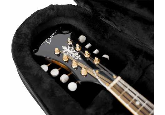 Guitares & Co - ETUIS & HOUSSES - ETUIS - MANDOLINE - Gator - HGA GL-MANDOLIN - Royez Musik