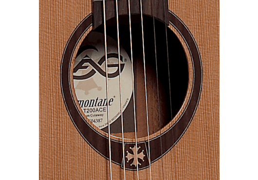 Guitares & Co - GUITARES ACOUSTIQUES - 6 CORDES - Lâg - GLA T200ACE - Royez Musik