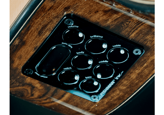 Guitares & Co - GUITARES ACOUSTIQUES - 6 CORDES - Lâg - GLA TSE-701ACE - Royez Musik