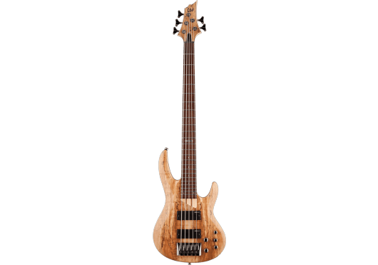 Guitares & Co - GUITARES BASSES - BASSES ELECTRIQUES - LTD - GES B205SMFL-NS - Royez Musik