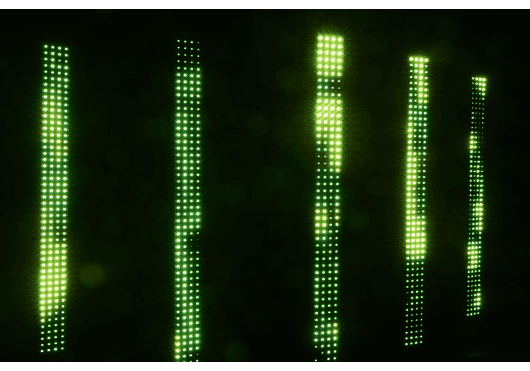 Lumières - LED VIDÉO - Martin By Harman - LMP 90357692HU - Royez Musik