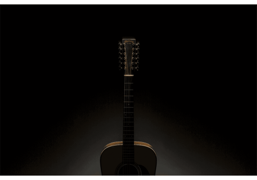 Guitares & Co - GUITARES ACOUSTIQUES - 12 CORDES - Martin - GMA HD12-28 - Royez Musik