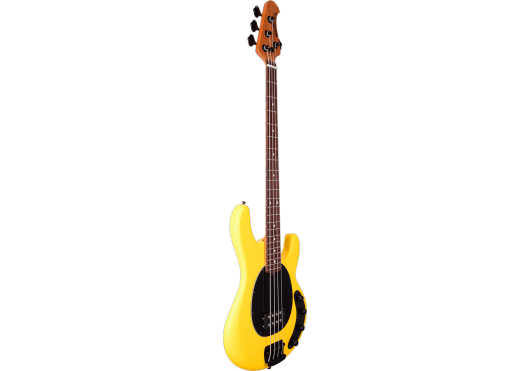 Guitares & Co - GUITARES BASSES - BASSES ELECTRIQUES - MUSIC MAN - GMM RAY-HDY-R-B-B - Royez Musik