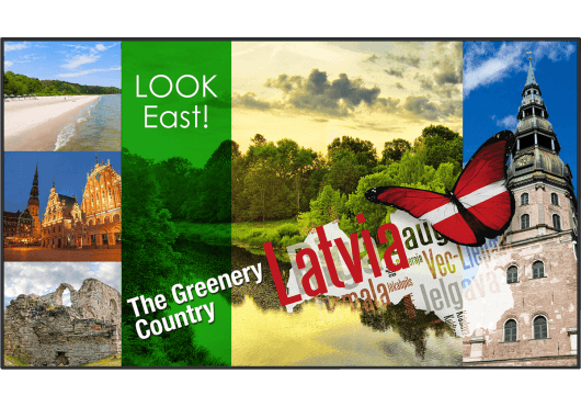 Vidéo - ECRANS - LCD - Panasonic - IPA TH-42LF80W - Royez Musik