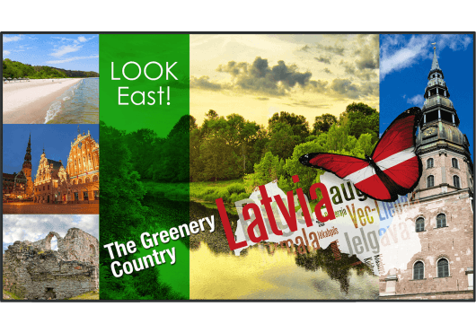 Vidéo - ECRANS - LCD - Panasonic - IPA TH-49LF80W - Royez Musik