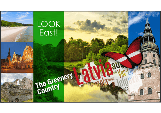 Vidéo - ECRANS - LCD - Panasonic - IPA TH-55LF80W - Royez Musik