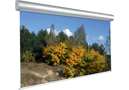 Vidéo - ECRANS - ECRANS ELECTRIQUES - Projecta - IPC 10130238 - Royez Musik