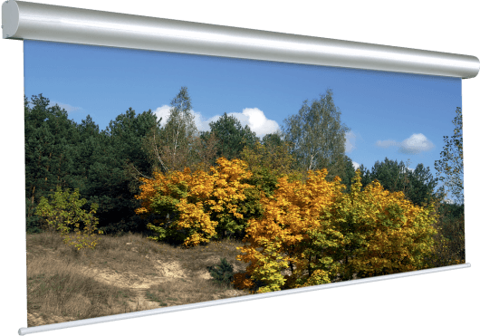 Vidéo - ECRANS - ECRANS ELECTRIQUES - Projecta - IPC 10130766 - Royez Musik