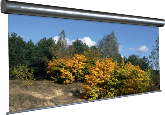 Vidéo - ECRANS - ECRANS ELECTRIQUES - Projecta - IPC 10160765 - Royez Musik