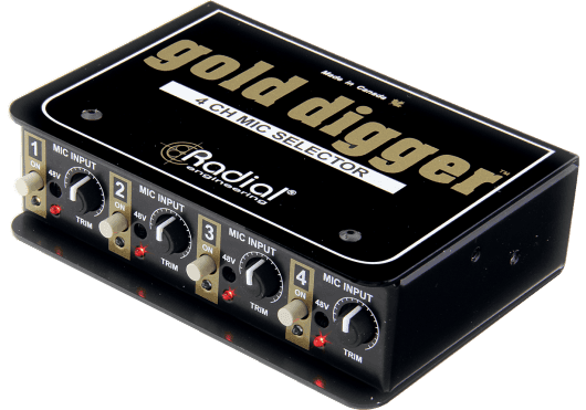 Audio - STUDIO - Radial - SRA GOLD-DIGGER - Royez Musik