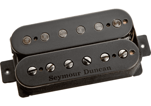 Guitares & co - MICROS - MICROS GUITARES - Seymour Duncan - ESD NGL-B-P-6STR - Royez Musik
