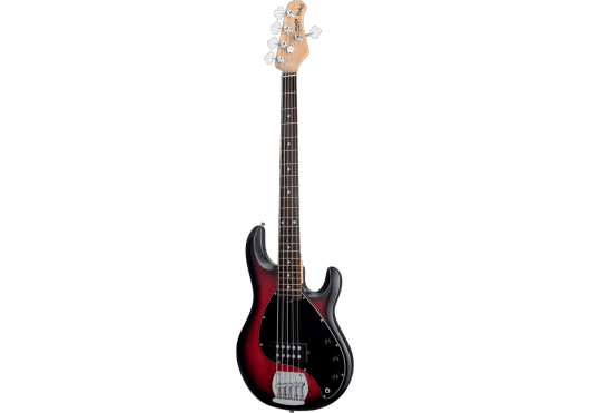 Guitares & Co - GUITARES BASSES - BASSES ELECTRIQUES - STERLING BY MUSIC MAN - GSU RAY5-RRBS-R1 - Royez Musik