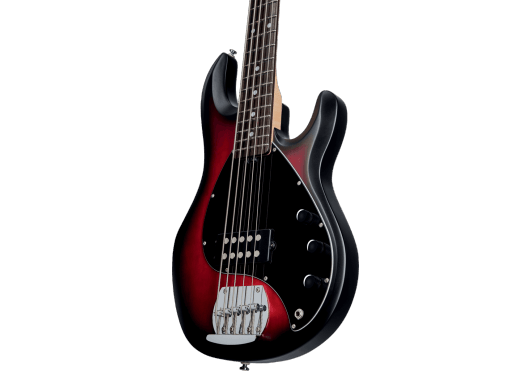 Guitares & Co - GUITARES BASSES - BASSES ELECTRIQUES - STERLING BY MUSIC MAN - GSU RAY5-RRBS-R1 - Royez Musik