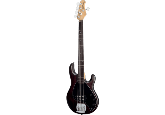 Guitares & Co - GUITARES BASSES - BASSES ELECTRIQUES - STERLING BY MUSIC MAN - GSU RAY5-WS-R1 - Royez Musik