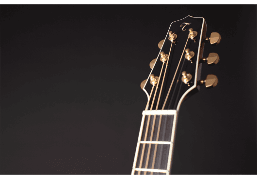 Guitares & Co - GUITARES ACOUSTIQUES - 6 CORDES - Takamine - GTV CP7MO-TT - Royez Musik