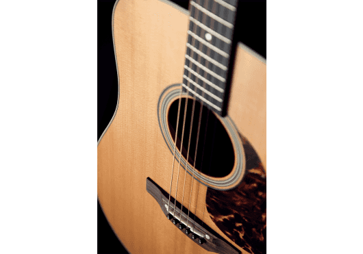 Guitares & Co - GUITARES ACOUSTIQUES - 6 CORDES - Takamine - GTV EF340S-TT - Royez Musik