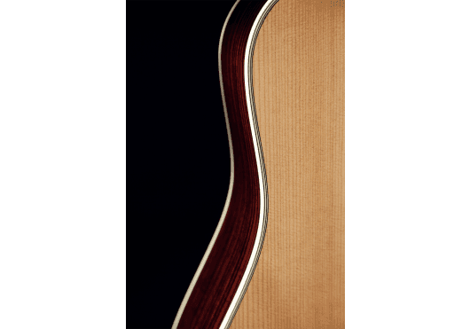 Guitares & Co - GUITARES ACOUSTIQUES - 6 CORDES - Takamine - GTV EF360S-TT - Royez Musik