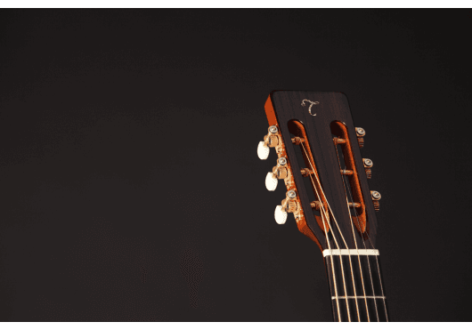 Guitares & Co - GUITARES ACOUSTIQUES - 6 CORDES - Takamine - GTV EF740FS-TT - Royez Musik