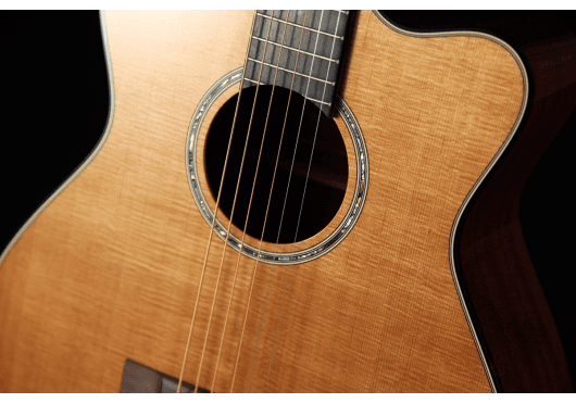 Guitares & Co - GUITARES ACOUSTIQUES - 6 CORDES - Takamine - GTV EF740FS-TT - Royez Musik
