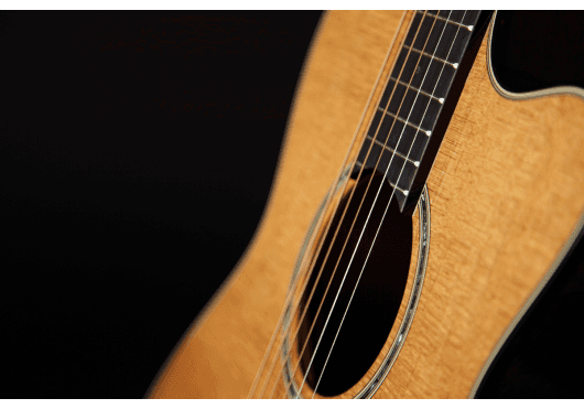 Guitares & Co - GUITARES ACOUSTIQUES - 6 CORDES - Takamine - GTV EF740FS-TT - Royez Musik